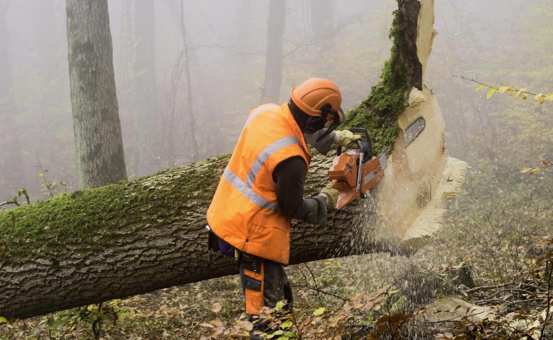 a man cutting the tree